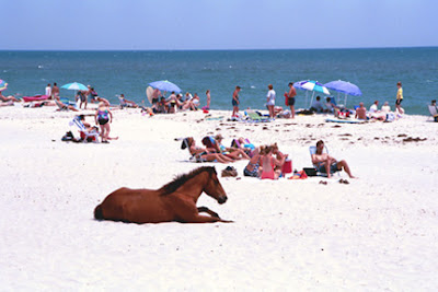 Top 12 Beach Towns You Must Visit This Summer