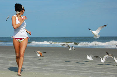 Top 12 Beach Towns You Must Visit This Summer