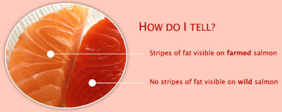 Top 11 Cancer Causing Foods to Avoid