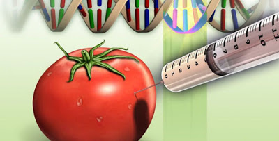 Top 11 Cancer Causing Foods to Avoid