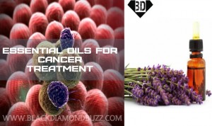Essential Oils for Cancer Treatment that work