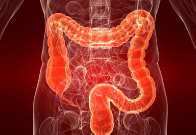 Essential Oils for Cancer Treatment that work