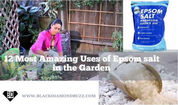 24 Incredible Uses of Epsom Salt at Every home