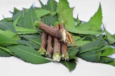 natural cures for bacterial vaginosis