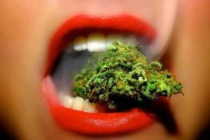 cannabis kills cancer cells