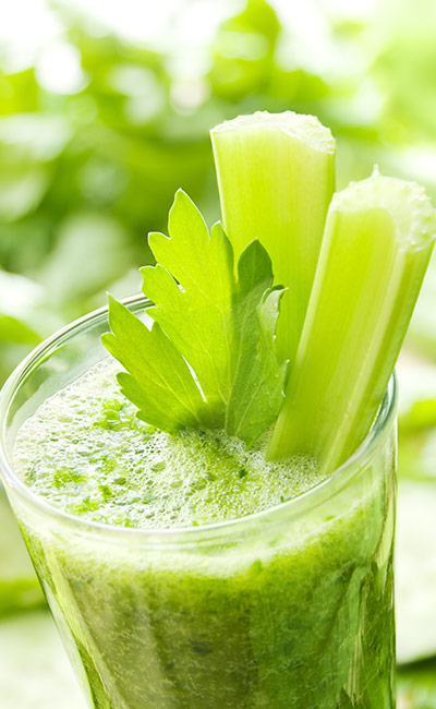 19 Insanely Fat Burning Smoothies and their Recipes