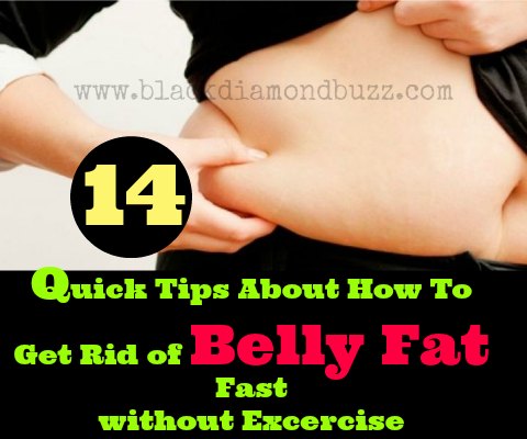 14 Quick Tips About How To Get Rid of Belly Fat Fast without Excercise
