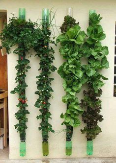  Amazing things To Make from Plastic Bottles
