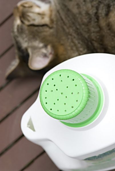  Amazing things To Make from Plastic Bottles