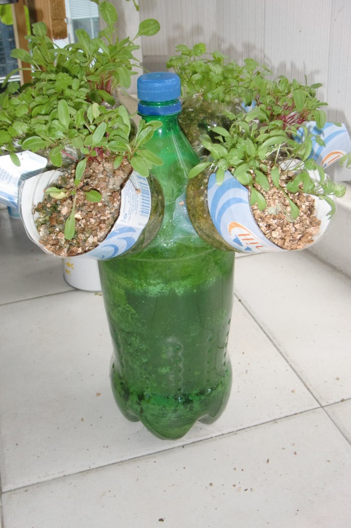 20 Amazing things To Make from Plastic Bottles