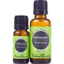 Indigestion Remedies