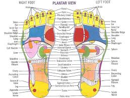 Health And Alternative Medicine Websites