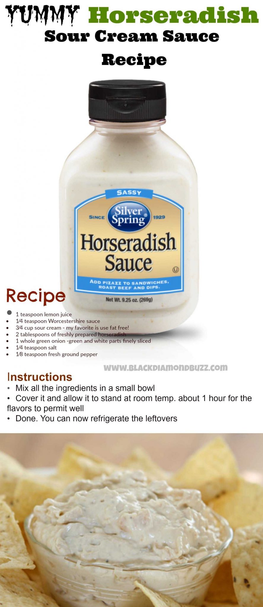 Horseradish Sour Cream Sauce Recipe 