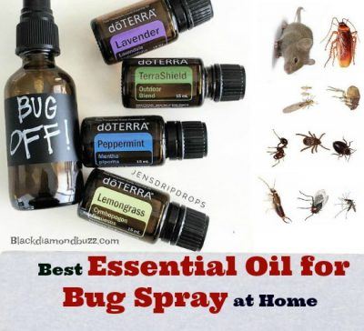  Best Essential Oil for Bug Spray at Home
