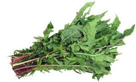 Dandelion Leaves - How to get rid of knee pain fast