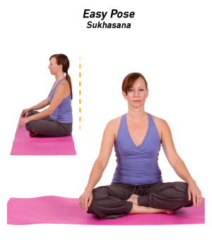 7 Easy Best Yoga Poses for Beginners and Back Stretches at Home