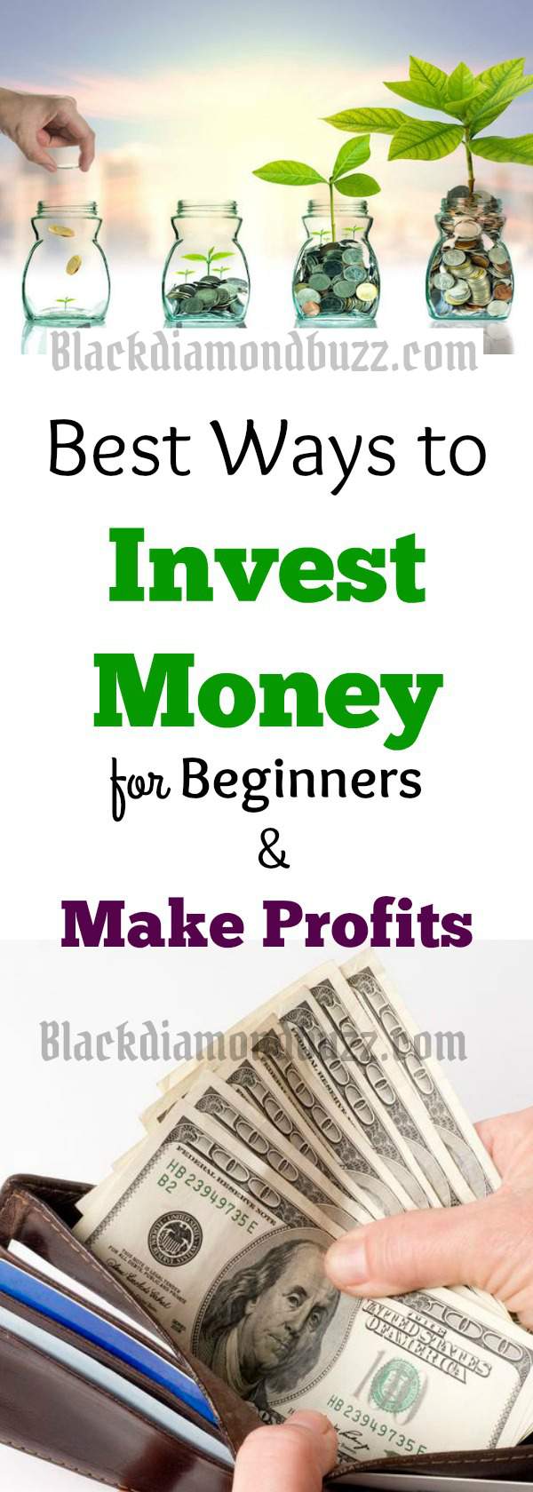 15 Best Ways to Invest Money for Beginners to Get Good Returns