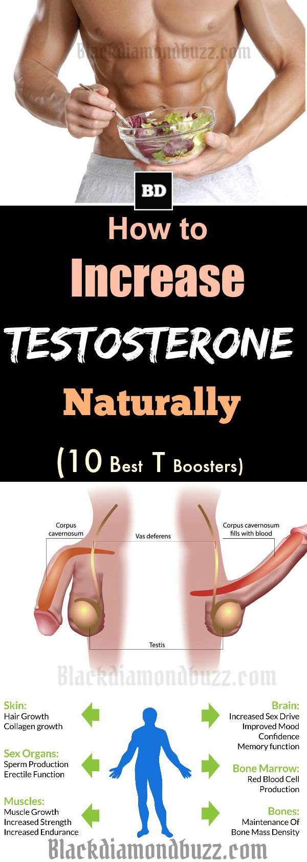 10 Ways on How to Increase Testosterone Naturally and Quickly