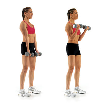 Best Upper Body Gym Exercises for Women to Sculpt Your Muscles