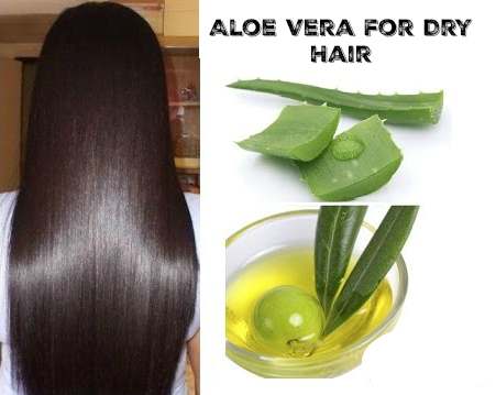 DIY Home Remedies for Dry Hair: These Hair Treatments Fix Your Hair Overnight
