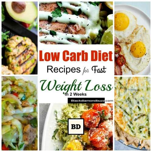 Low Carb Diet Recipes for Fast Weight Loss in 2 Weeks